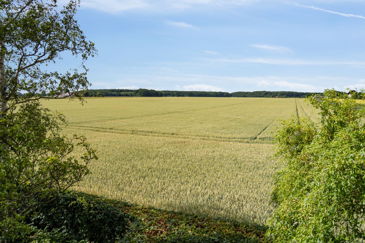 image 02