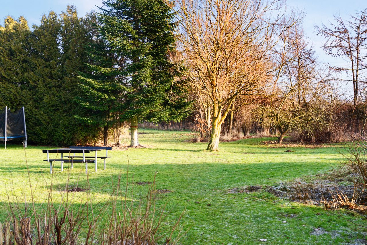 image 04