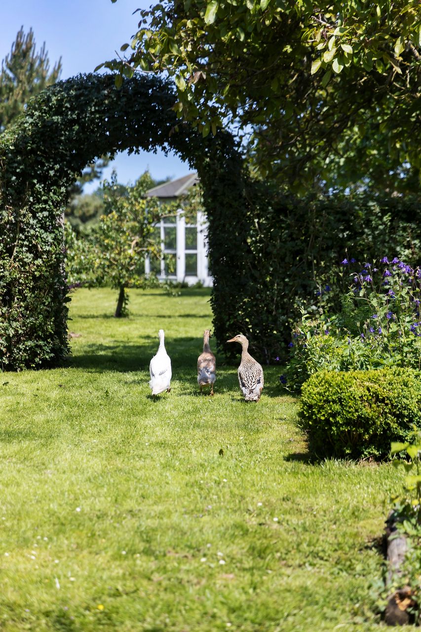 image 04